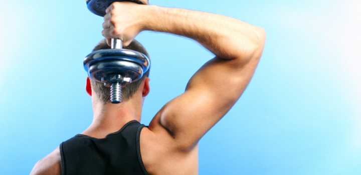 Muscle Building: It&#039;s Ok To Have Fun