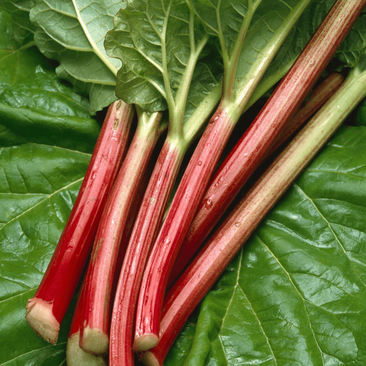 7 Foods You Should Never Eat Raw