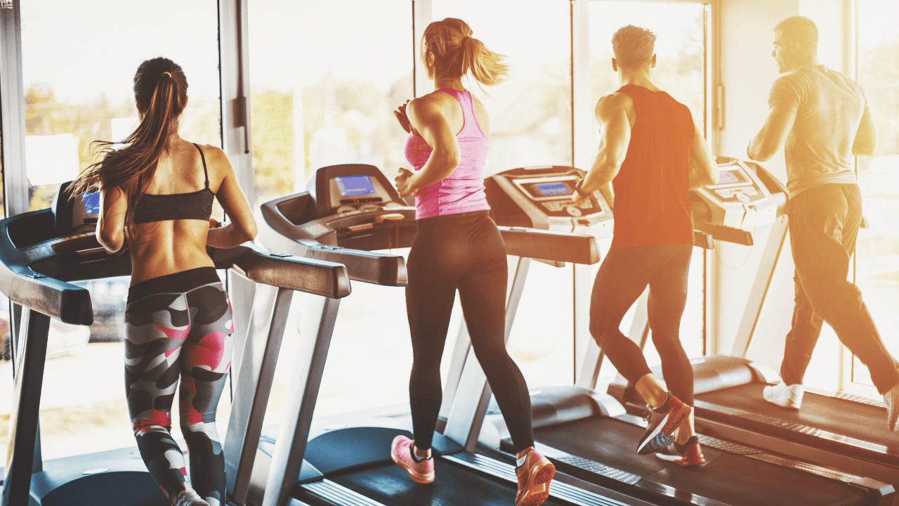 The Four Essential Types of Exercise Everyone Needs