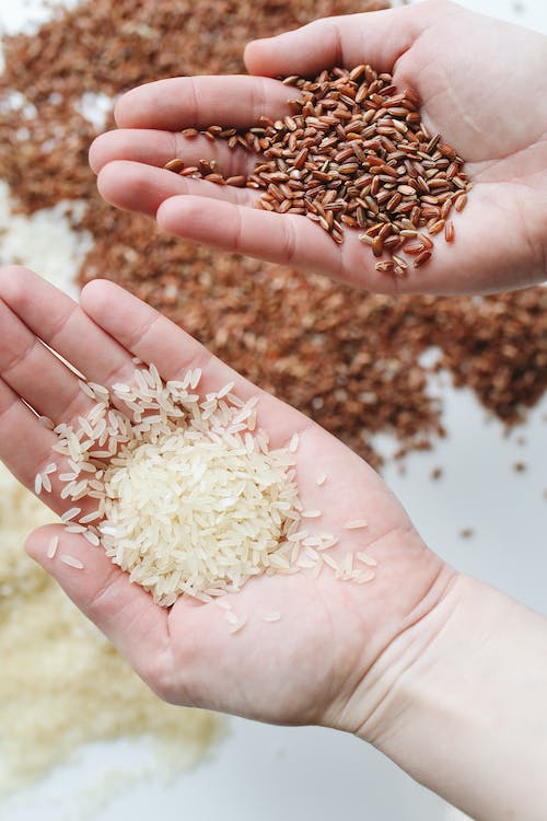 White Rice VS Brown Rice