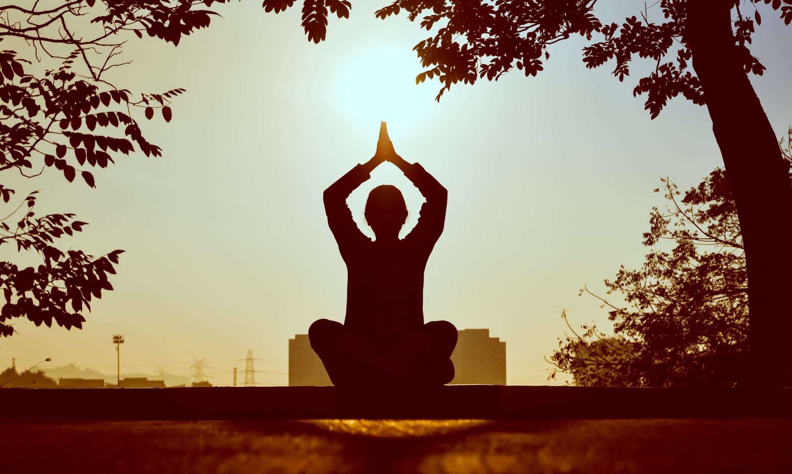 Yoga: A Holistic Approach to Fitness